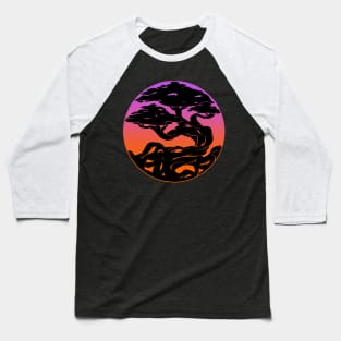 Sunset Bonsai Baseball T-Shirt